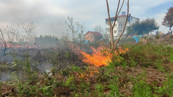 Giresun’da örtü yangını korkuttu
