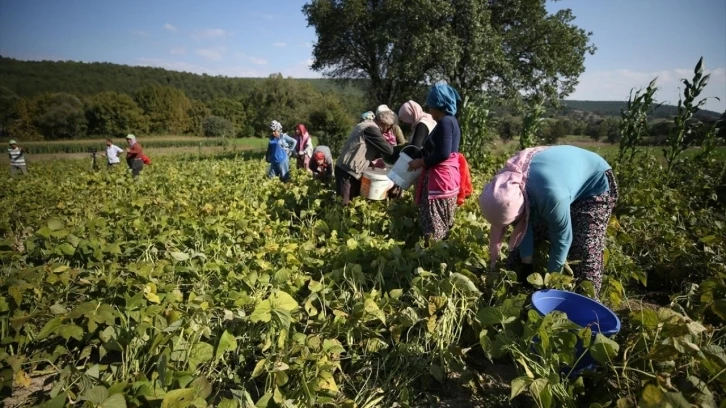 GMKA destek verdi, kadın üretimi ve istihdam güçlendi
