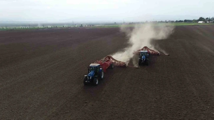 Gökhöyük Tarım İşletmesi’nde sertifikalı tohum ve hayvancılık faaliyetleri sürüyor
