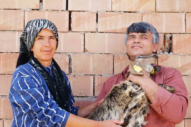 Görme engelli çiftin yaşam azmi: Hayvan otlatıp tarlada çalışıyorlar
