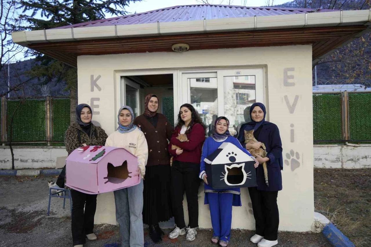 Gümüşhane’de öğrenci yurdunun güvenlik kulübesi kedilere yurt oldu
