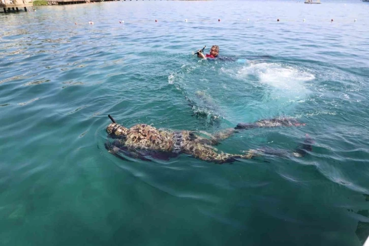 Gündoğan’da deniz dibi temizliği
