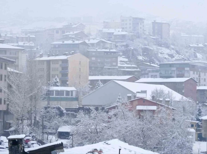 Hakkari’de 176 yerleşim yeri ulaşıma kapandı
