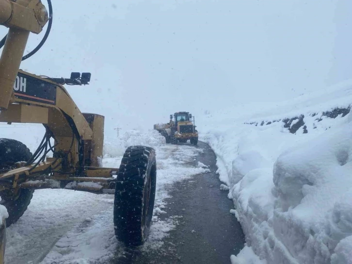 Hakkari’de kapanan 191 yerleşim yolu yeniden açıldı
