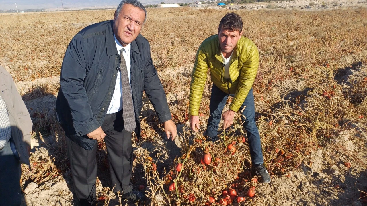 “Hasat çürüdü, halk ucuz sebze göremedi!”