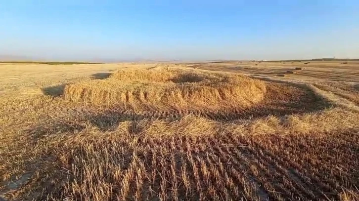 Hasat yapılacak ekili arazide oluşan obruk korkuttu
