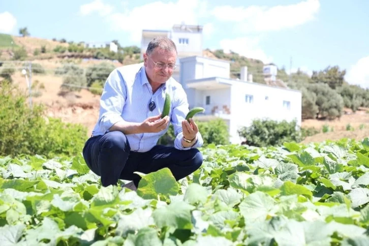 Hatay Büyükşehir Belediye Başkanı Lütfü Savaş:
