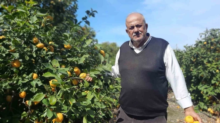 Hatay’da depolar yıkılıp dağıtım zinciri bozulunca, çiftçilerin mahsulleri ellerinde kaldı
