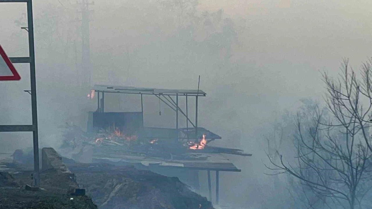 Hatay’da orman yangını evlere sıçradı
