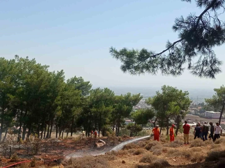 Hatay’da ormanlık alanda örtü yangını
