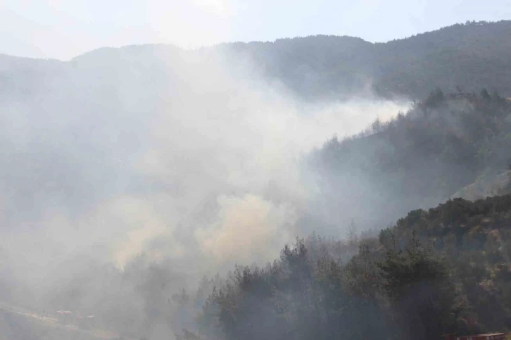 Hatay’daki orman yangını kontrol altına alındı
