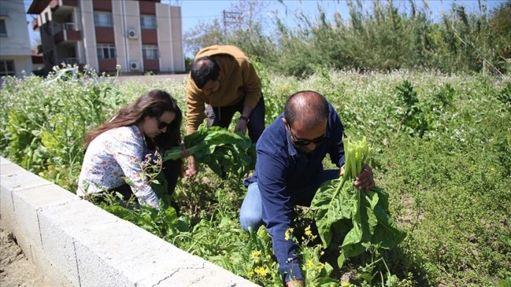 Hatay'da depremde ölen kadın çiftçinin ürünleri gönüllüler sayesinde tarlada kalmadı