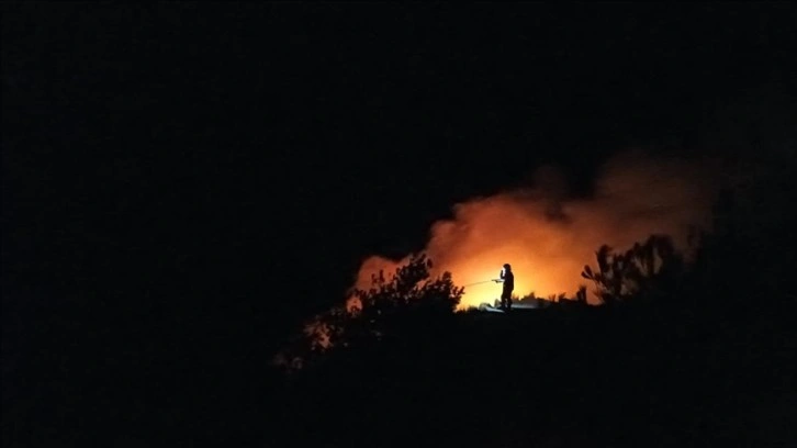 Hatay'da makilik alanda çıkan yangın söndürüldü