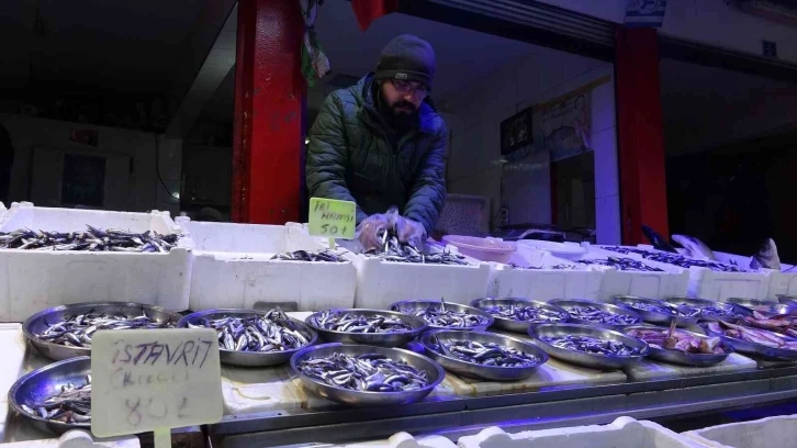 Hava muhalefeti balıkçıları olumsuz etkiledi
