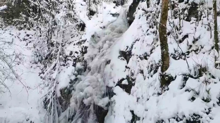 Hava sıcaklığı -5’in altında ölçüldü: O şelale kısmen dondu
