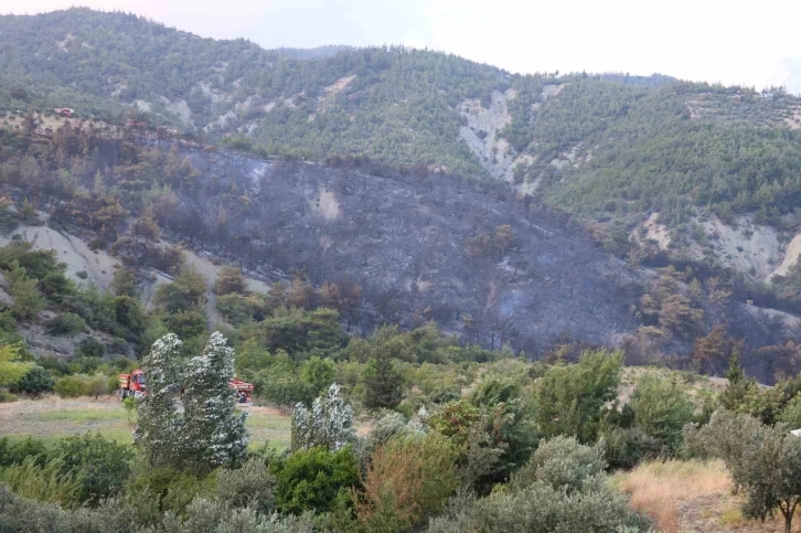 Havadan ve karadan müdahaleyle kontrol altına alınan yangında yaşananları muhtar anlattı
