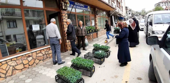 Havalar ısındı fidelerin ekim zamanı geldi
