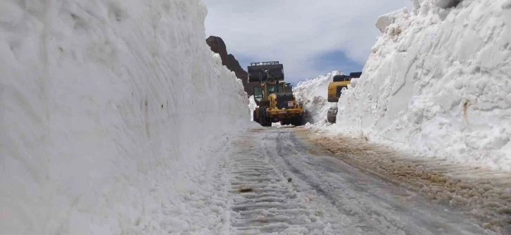 Haziran ayında 3 metreyi bulan karda yol açma çalışması
