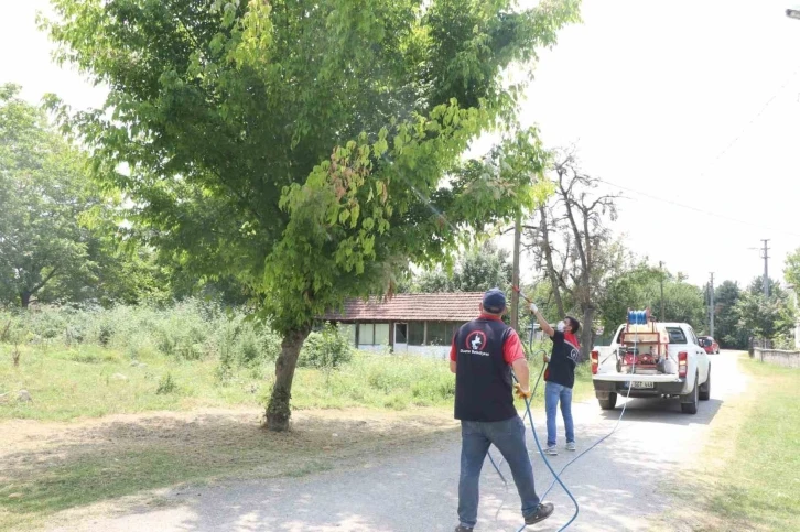 Her yer köşe bucak ilaçlanıyor
