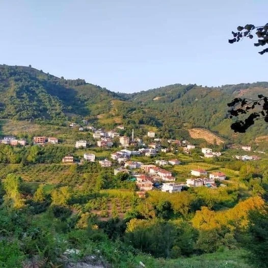 Hırsızlar, Alaplı’da boş evlere dadandı