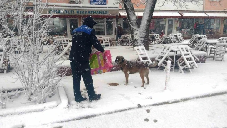 Hisarcık Belediyesi sokak hayvanlarını aç bırakmadı
