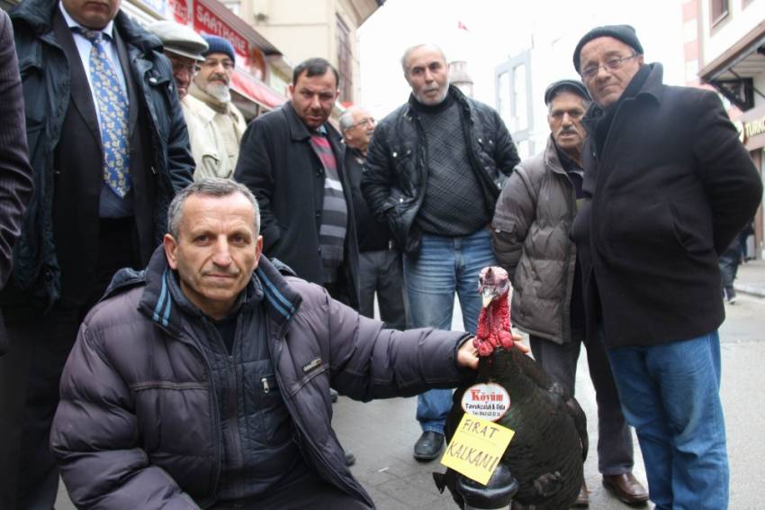 Hindiye ’Fırat Kalkanı’ adını verdi