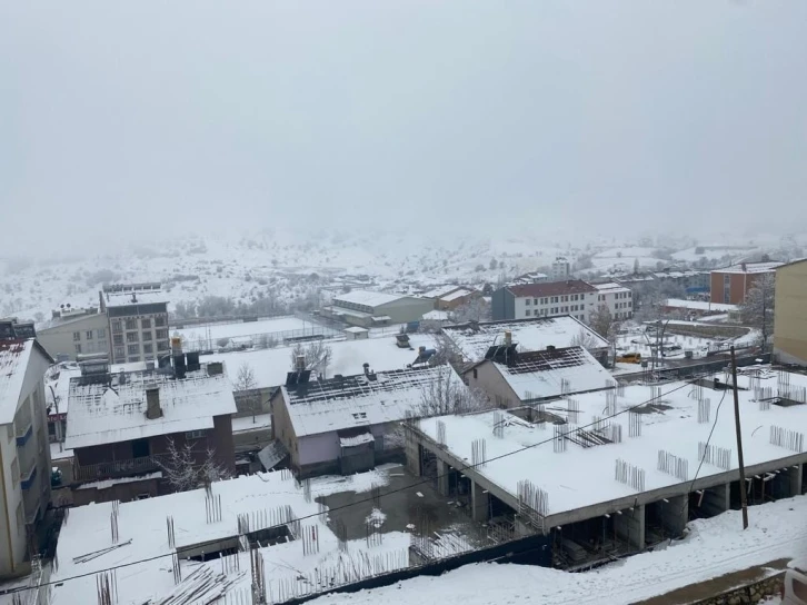 O ilçede kuduz paniği! Bölge karantinaya alındı