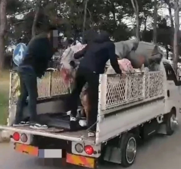 Hurdacı kılığına giren polis, uyuşturucu tacirini şoka uğrattı
