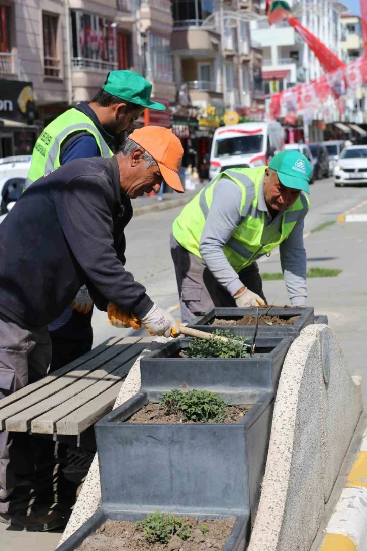 Iğdır’da şehir genelinde çiçek ekimi
