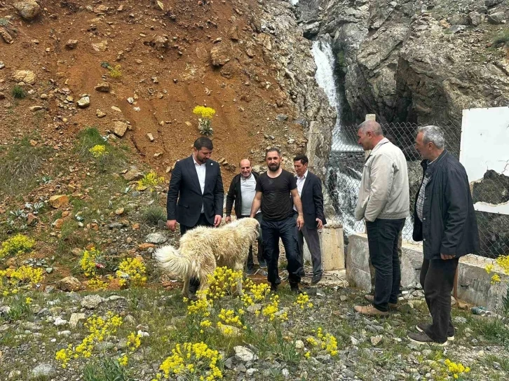 İhbar kendisine geldi, belediye başkanı köpek kurtarma operasyonuna katıldı
