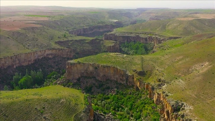 Ihlara Vadisi'ndeki bitki ve hayvan türleri kayıt altına alındı