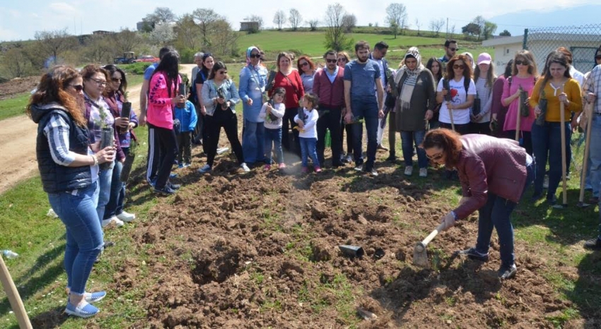 Bursalı İK yöneticilerinden fidan kampanyası