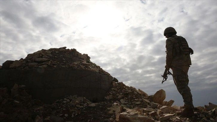 İkna çalışmaları sonucu bir PKK'lı terörist güvenlik güçlerine teslim oldu