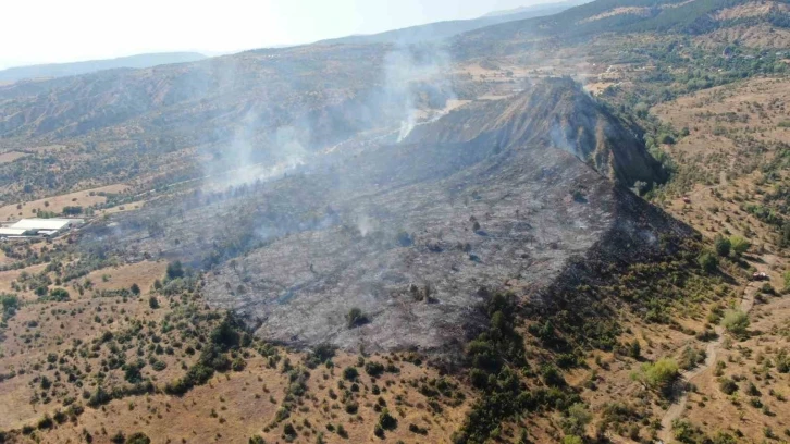 Ilgaz Dağı’ndaki orman yangını kontrol altına alındı: 15 hektar alan küle döndü
