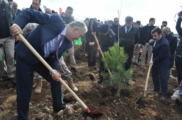 İnönü’de 2 bin fidan dikilerek 6 Şubat Deprem Şehitleri Ormanı oluşturuldu
