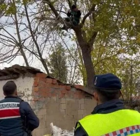 İntihar girişimini jandarma engelledi