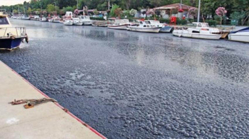 İstanbul'un göbeğinde korkutan görüntü