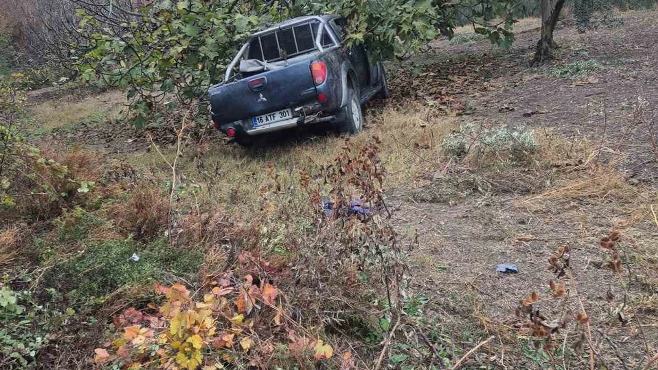 Mudanya'da tarım İşçilerini taşıyan kamyonet ağaca çarptı: 1 ölü, 7 yaralı