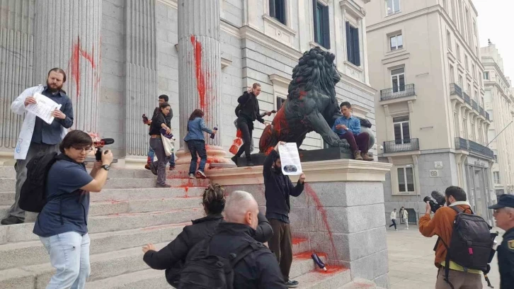 İspanya’da aktivistlerden parlamento binasına boyalı saldırı: 9 gözaltı