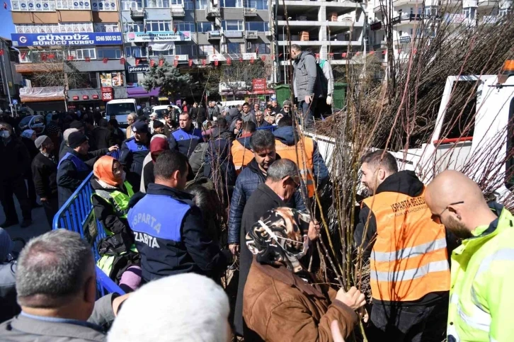 Isparta Belediyesi cuma günü 10 bin adet armut fidanını ücretsiz dağıtacak
