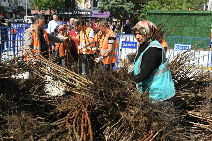 Isparta Belediyesinin dağıttığı fidan sayısı 72 bine ulaştı
