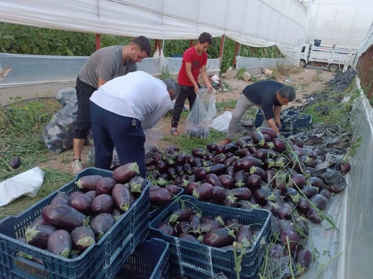 İsraf olacak ürünleri bağışladılar
