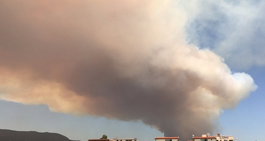 İzmir'deki yangın için herkes teyakkuzda