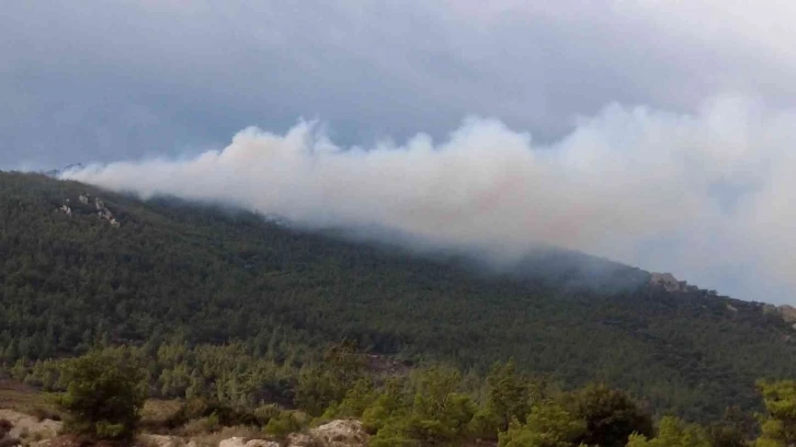 İzmir’de iki ilçede orman yangını
