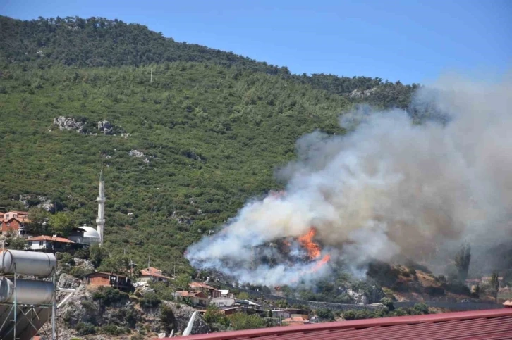 İzmir Kemalpaşa’da orman yangını