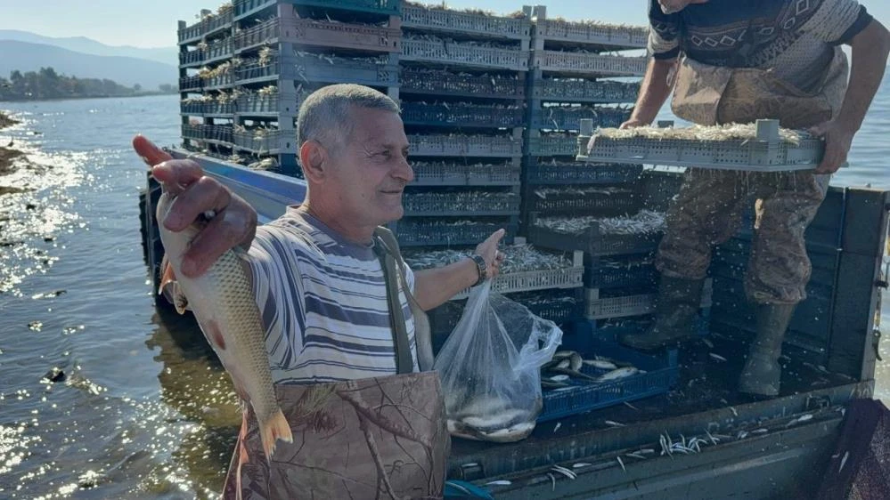 İznik Gölü'nde gümüş balığı bereketi