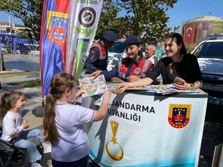 Jandarma sokak hayvanlarını unutmadı
