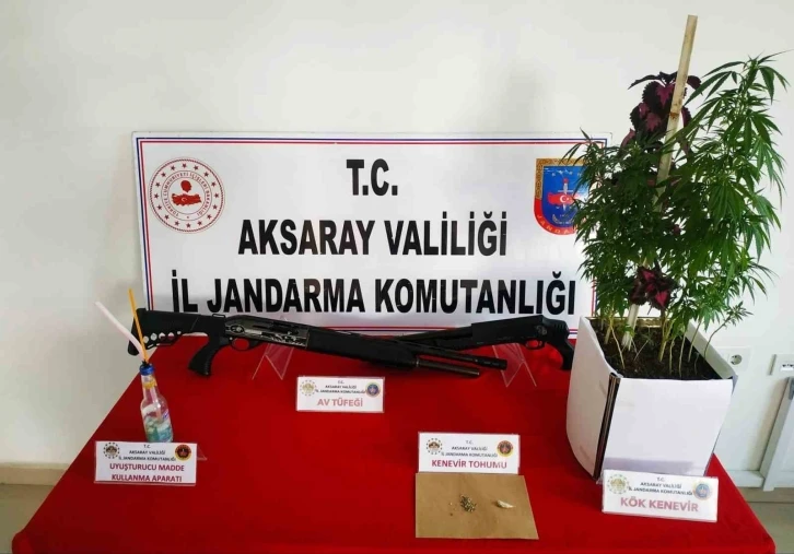 Jandarmadan uyuşturucu ve kaçak silah operasyonu
