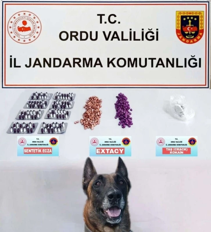 Jandarmanın uyuşturucu operasyonunda 1 tutuklama
