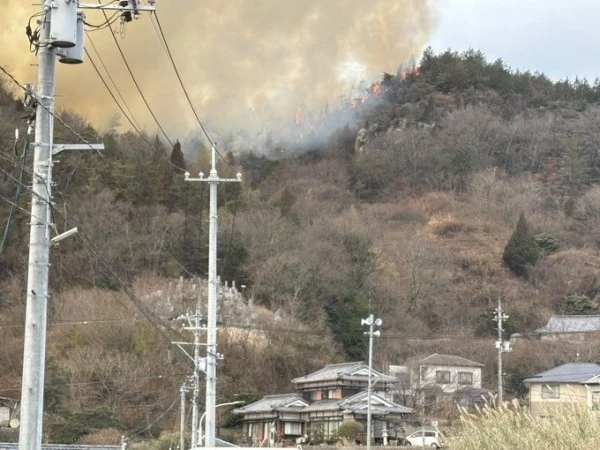 Japonya’da orman yangını: 150 kişi tahliye edildi
